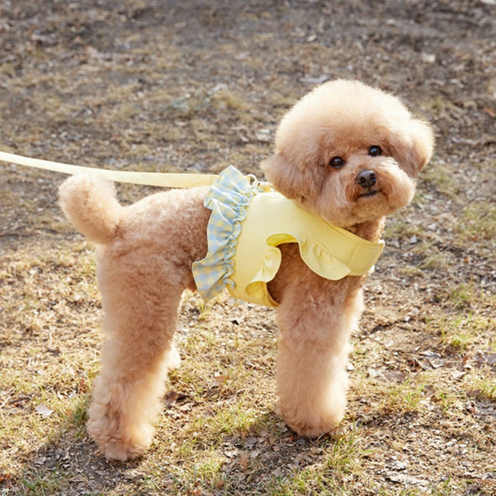 Dog Color Contrast Traction Ro – обзор и цена Lace Teddy Lingerie